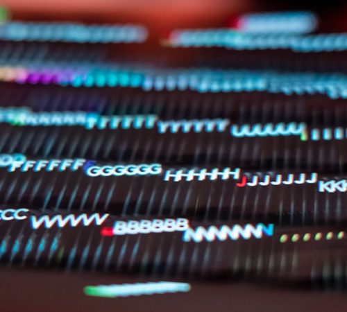 cyberstack-20260916-112216